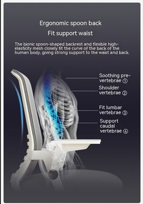 Chaise de PC en treillis métallique abordable et élégant pour la salle de conférence de l'entreprise CBM/pièce 0.33CBM